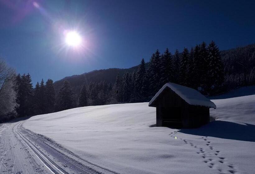 호텔 Pension Mitterer