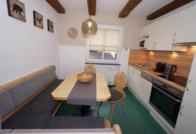 בית מלון כפרי Schmid