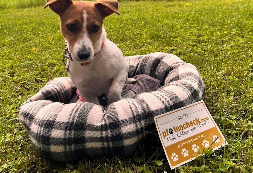 Отель Zum Lamm Inkl 1 Tagesskipass Ab 3 Nächten Aufenthalt