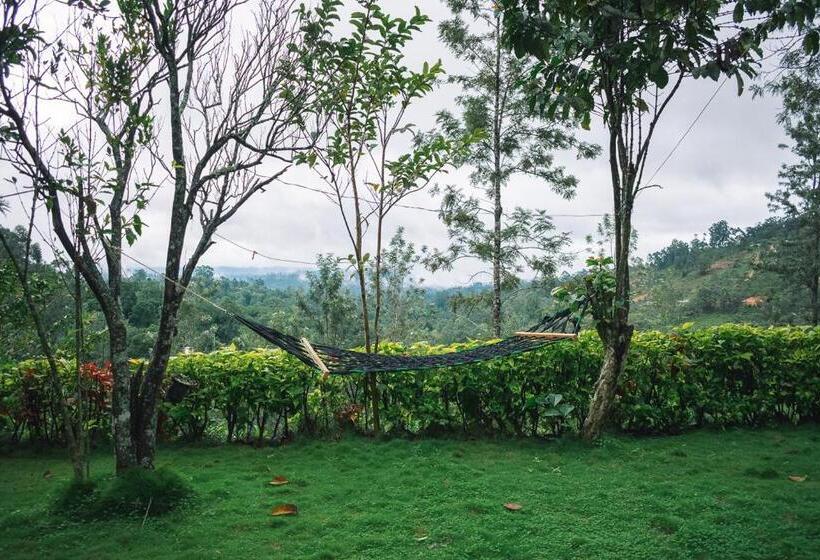 Отель Mf Holiday Bungalow