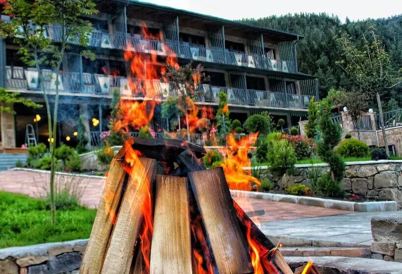 هتل Solo Grand Boshuri