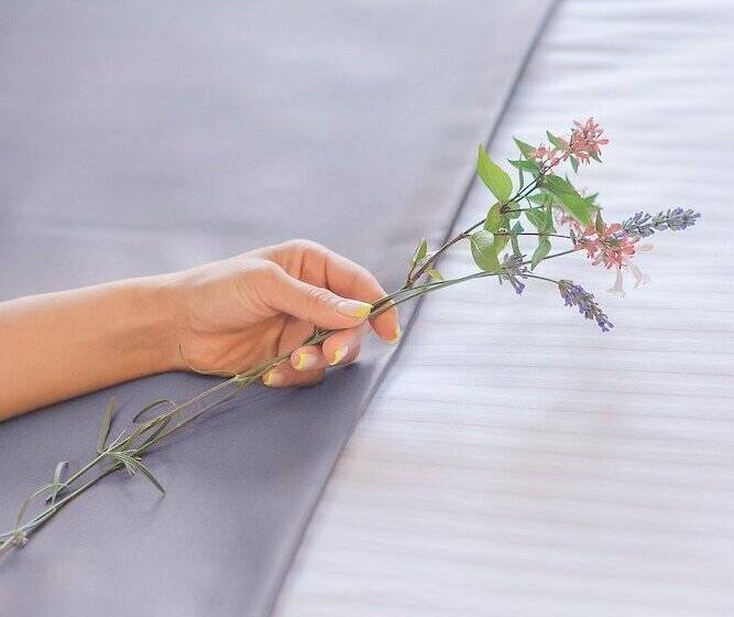 هتل Solo Grand Boshuri