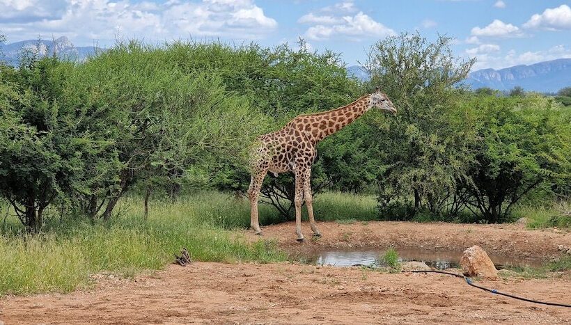 فندق Thandolwami Bush Lodge & Spa