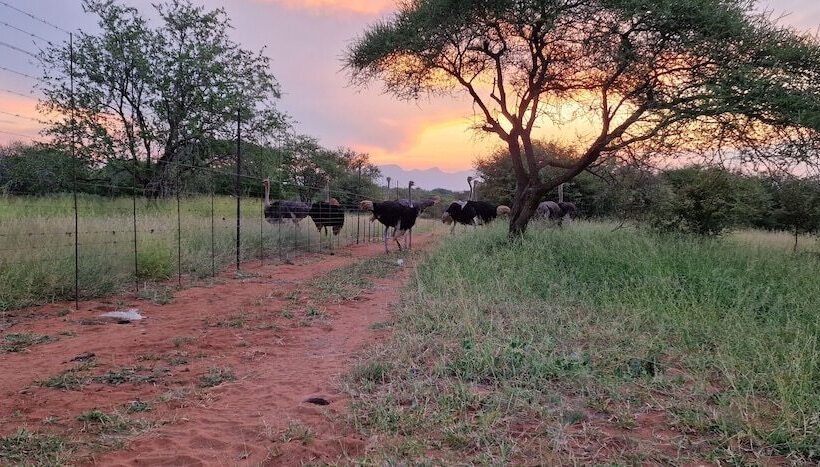 فندق Thandolwami Bush Lodge & Spa