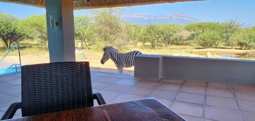 فندق Thandolwami Bush Lodge & Spa