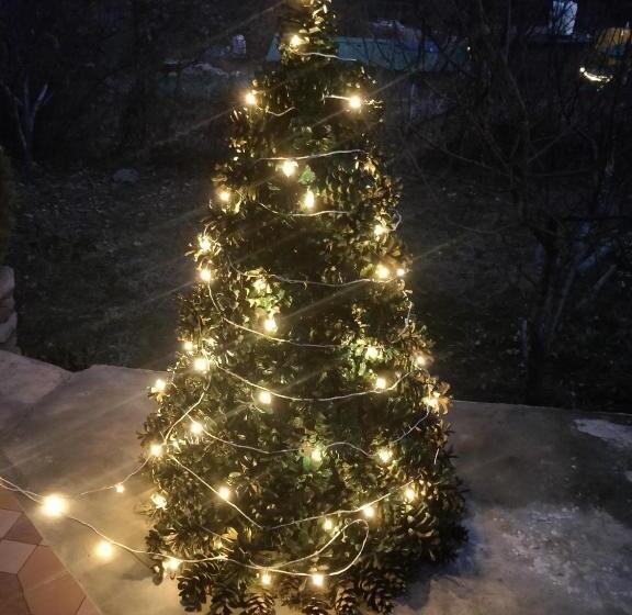 Pineview Hostel And Cafe