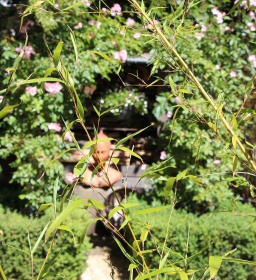 צימר De Tuinkamer