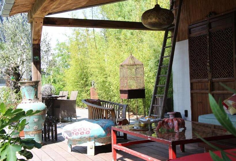 צימר De Tuinkamer