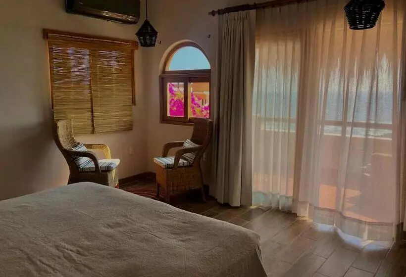 ホテル Boutique Casa La Malagueña