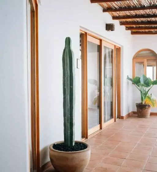 ホテル Boutique Casa La Malagueña
