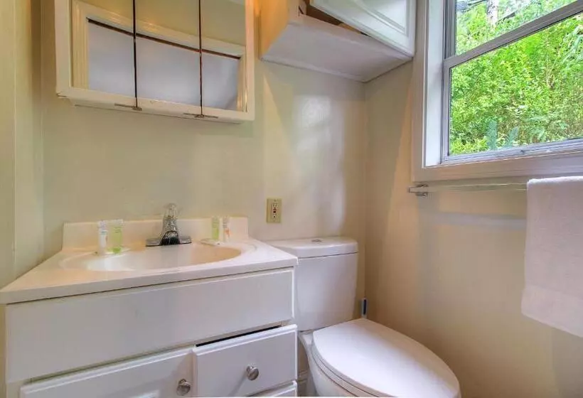 ホテル Downtown Cottage In The Woods