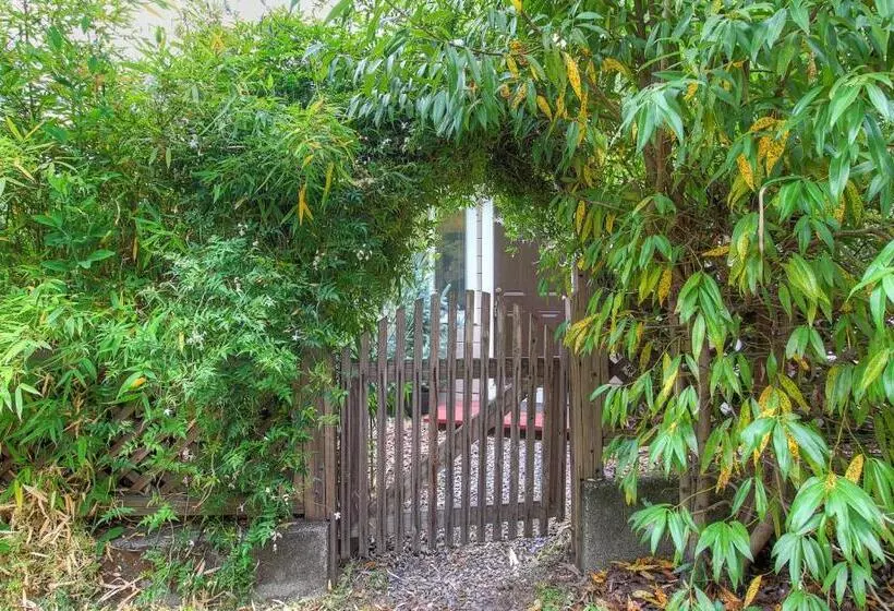 ホテル Downtown Cottage In The Woods
