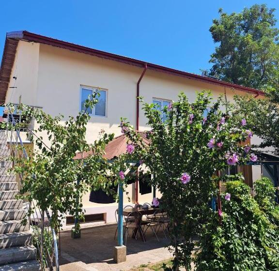 酒店 Radarului Costinesti