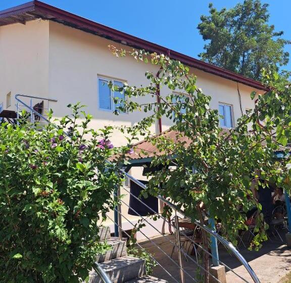 酒店 Radarului Costinesti