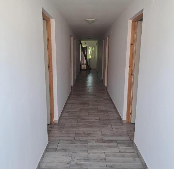 酒店 Radarului Costinesti