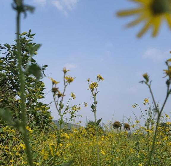 Отель Saifarm Resort Lonavala