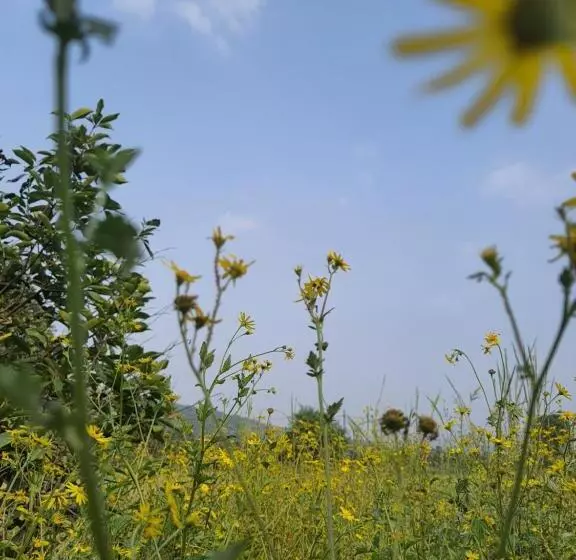 ホテル Saifarm Resort Lonavala