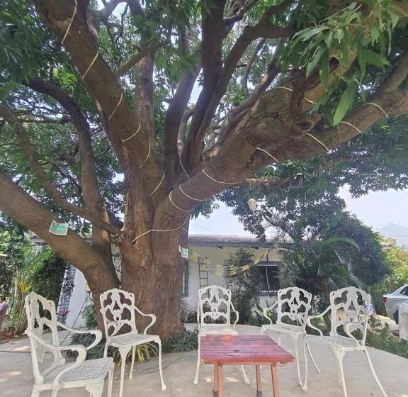 Отель Saifarm Resort Lonavala