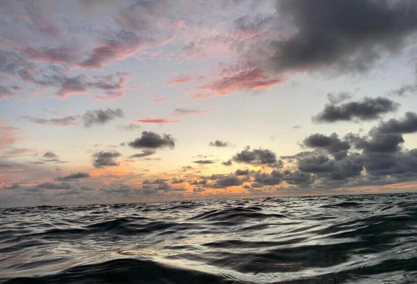 پانسیون Palenque Beach House