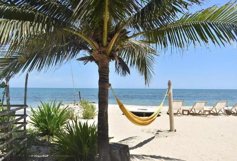 ペンション Palenque Beach House