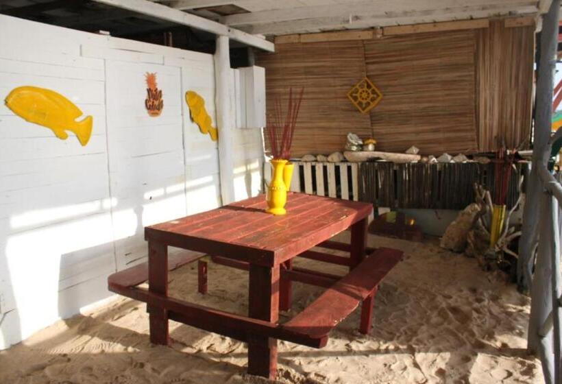 ペンション Piña Colada Hostels