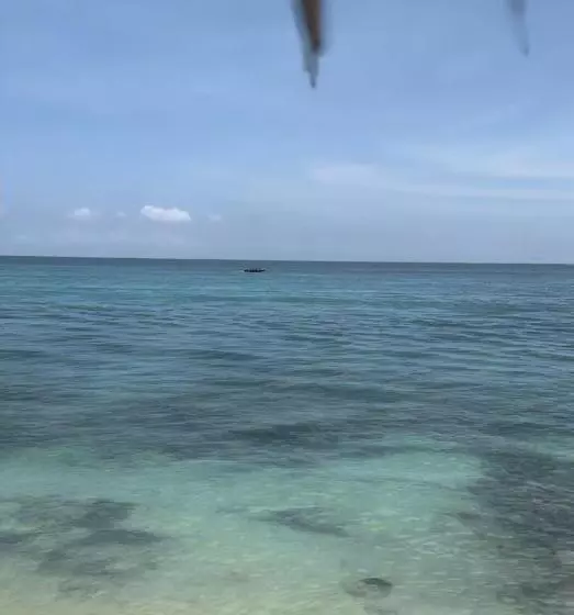ペンション Piña Colada Hostels