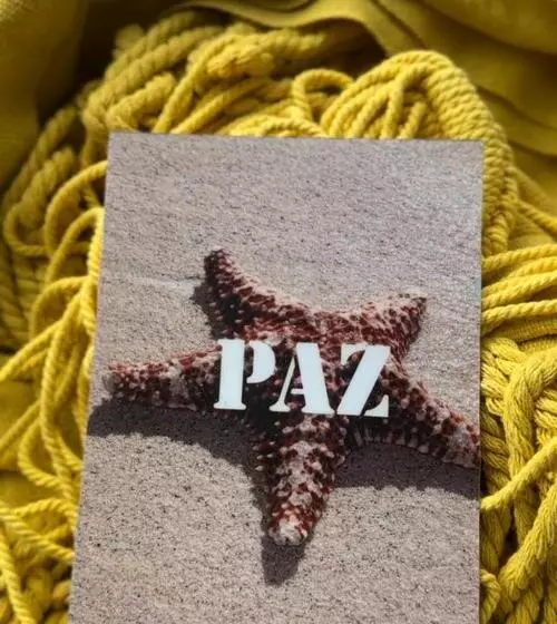 ペンション Piña Colada Hostels