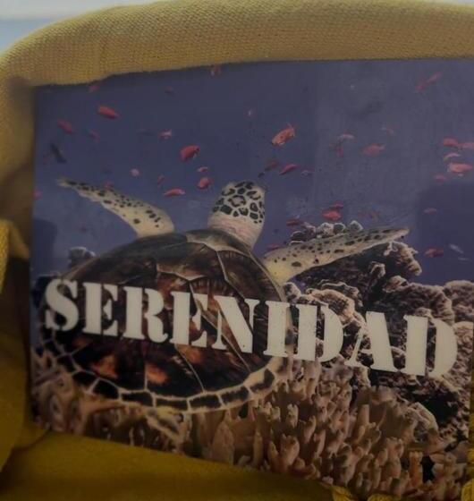 ペンション Piña Colada Hostels