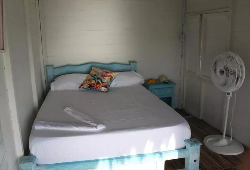 ペンション Piña Colada Hostels
