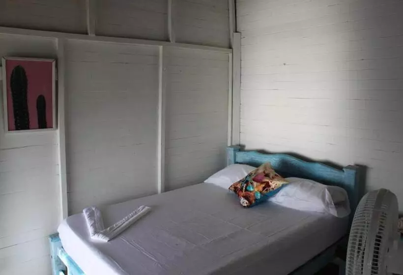 ペンション Piña Colada Hostels