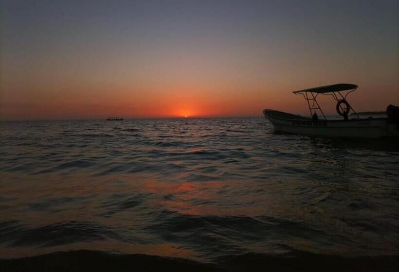 ペンション Piña Colada Hostels