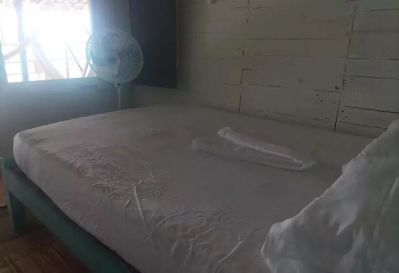 ペンション Piña Colada Hostels