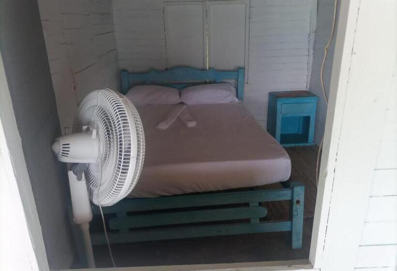 ペンション Piña Colada Hostels