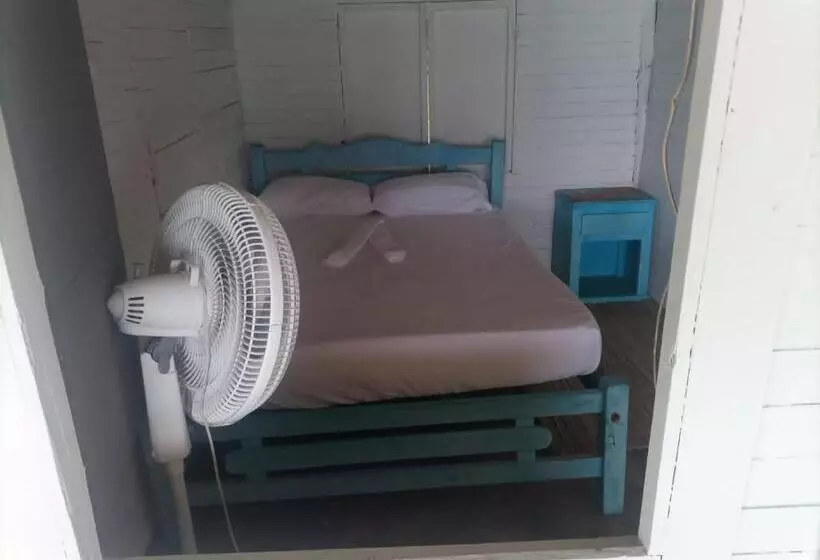 ペンション Piña Colada Hostels