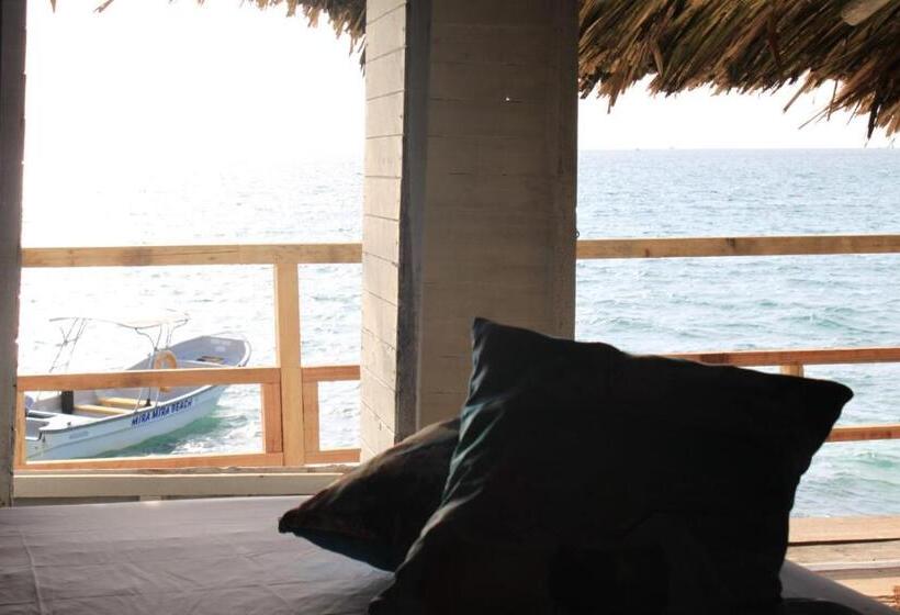 ペンション Piña Colada Hostels