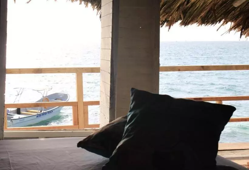 ペンション Piña Colada Hostels