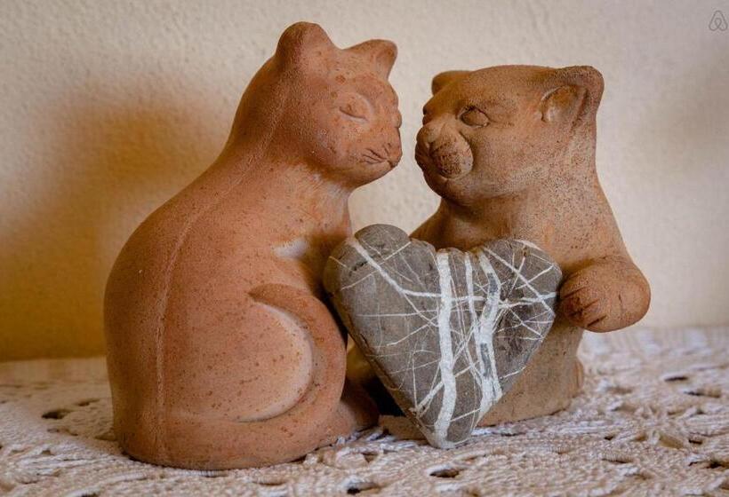 פנסיון Room In Villa   Room In The Hills With Garden And Sea View