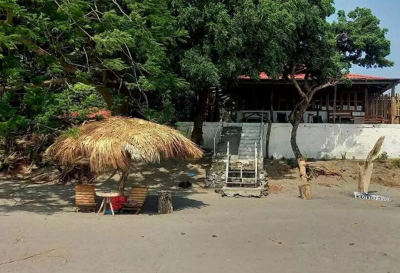 ペンション Exotic Island Lodge