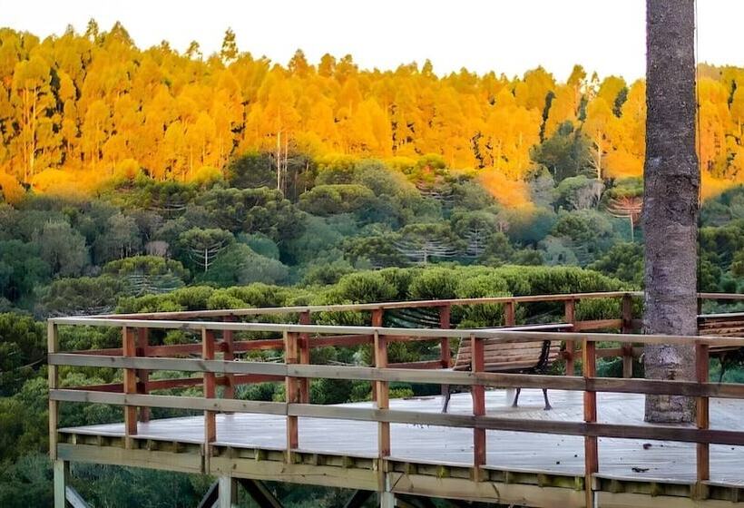 Hotel Goldmen Select Guarapuava