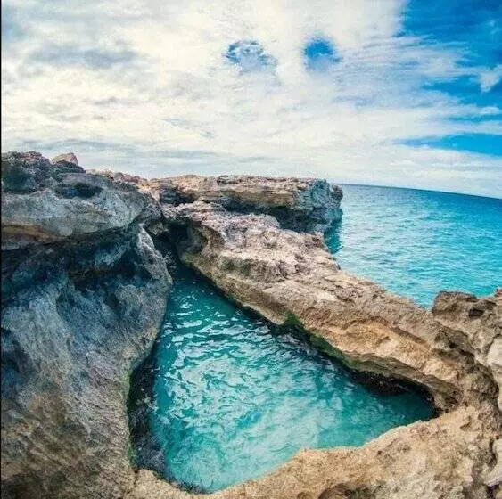 هتل Alfarero
