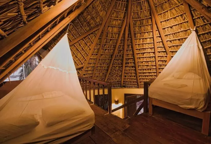 ホテル Cabañas Punta Placer