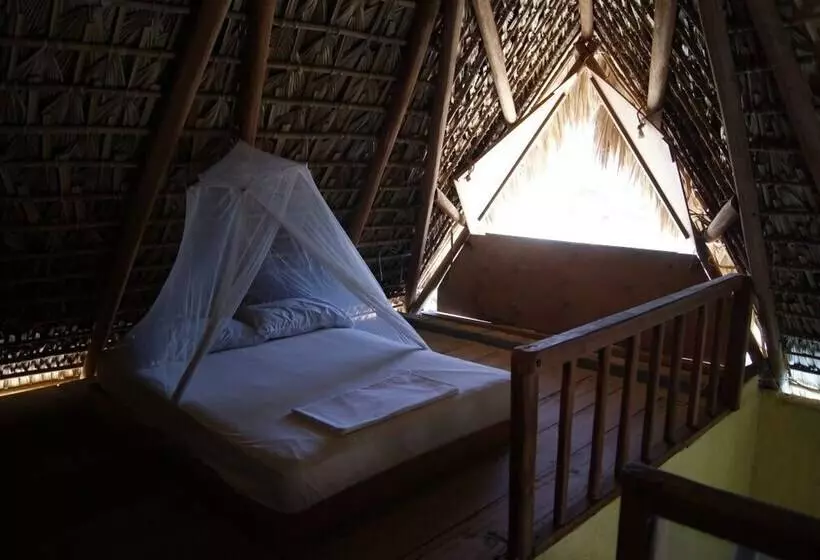 ホテル Cabañas Punta Placer