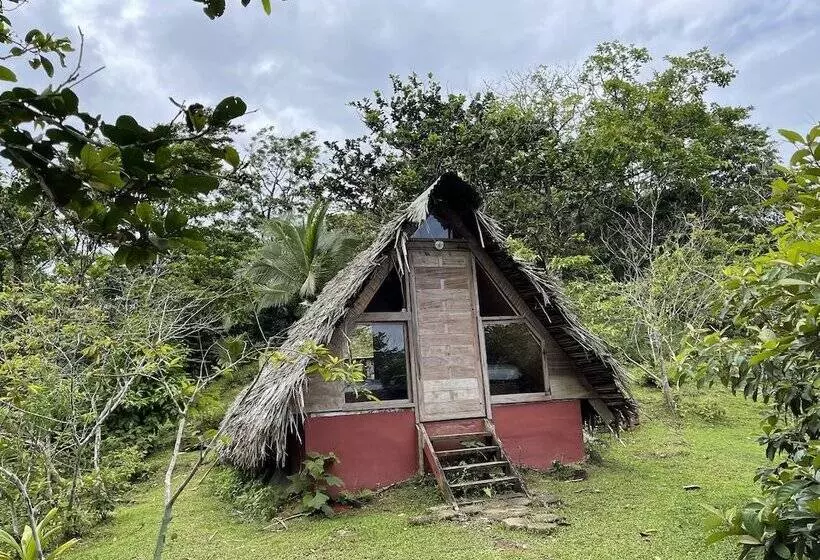 هتل Konsenda San Blas