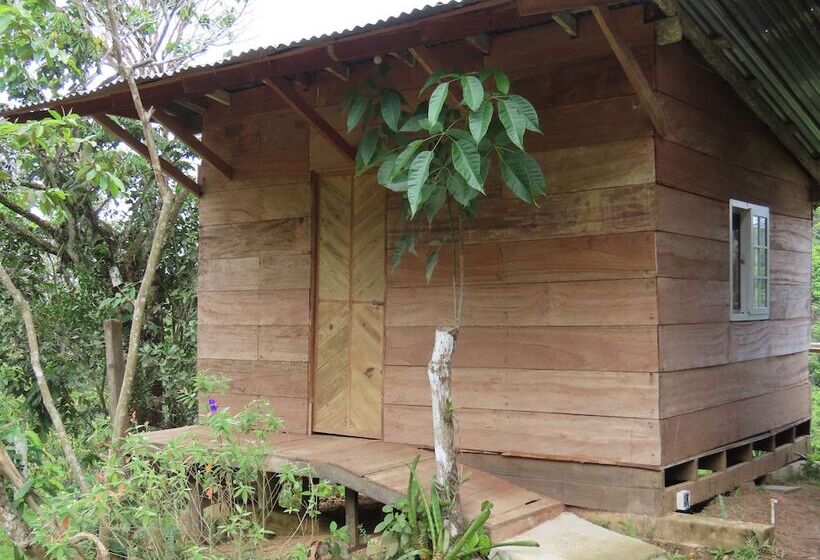 בית מלון כפרי Konsenda San Blas