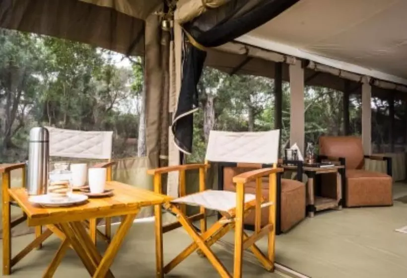 هتل Lerai Safari Camp