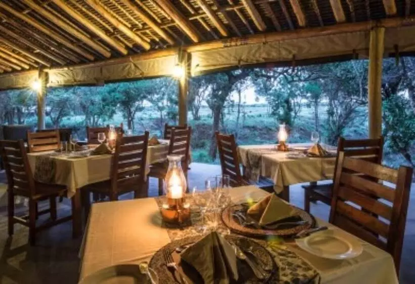 هتل Lerai Safari Camp