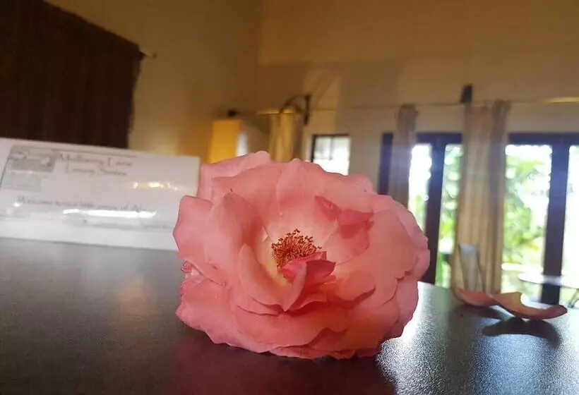 Hotelli Mulberry Lane Suites