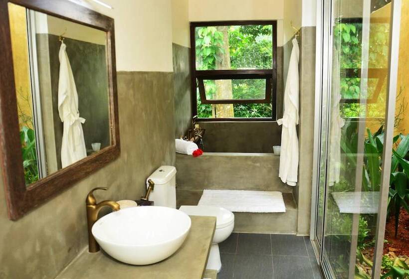 酒店 The Jungle Loft   Galle