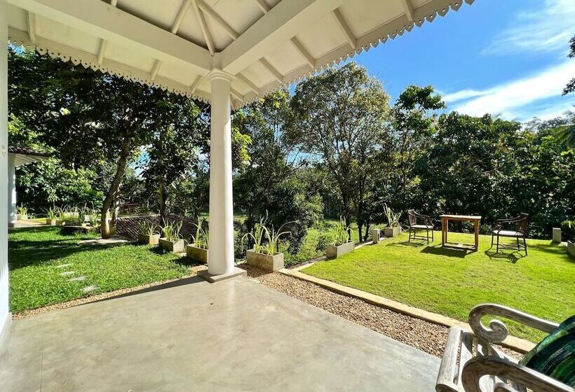 酒店 The Jungle Loft   Galle