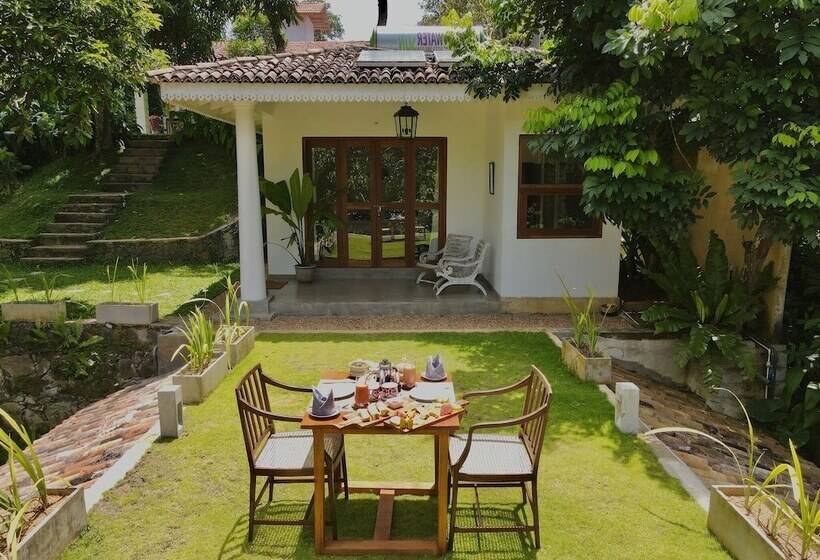 酒店 The Jungle Loft   Galle